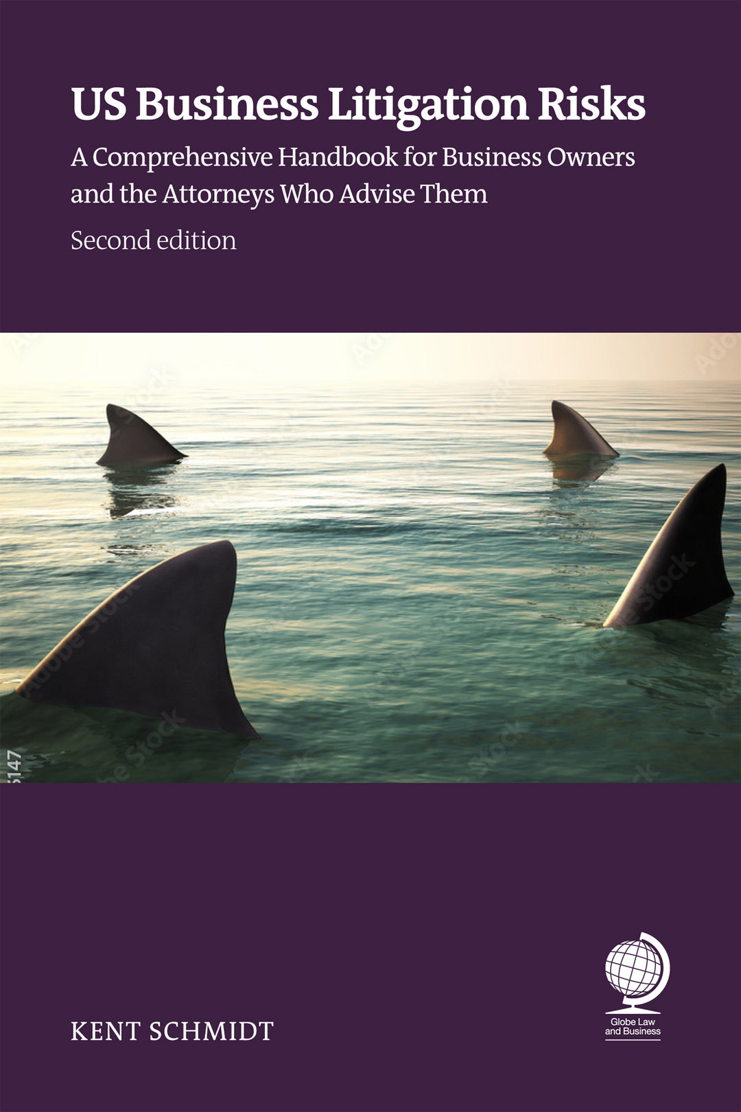 Cover image for US Business Litigation Risks ISBN 9781837230471